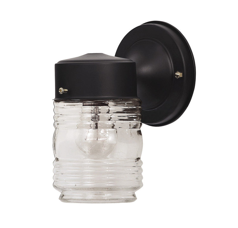 Petite Clear Glass 1-Light Outdoor Wall Sconce in Black