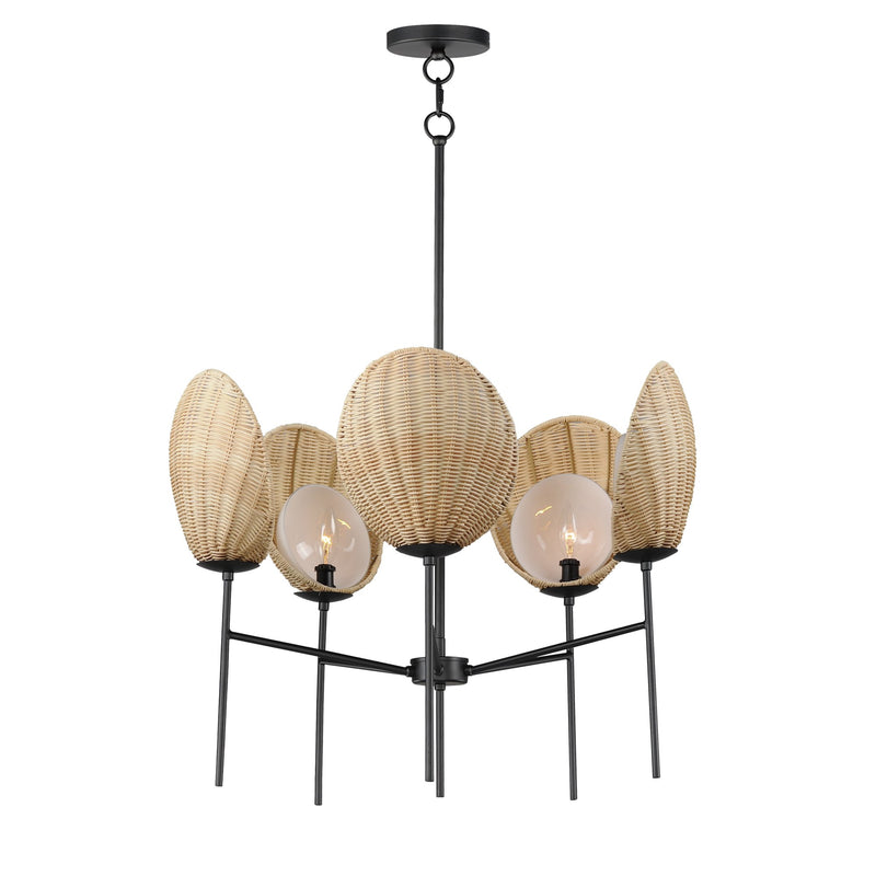 Maldives 5 Light Chandelier in Black