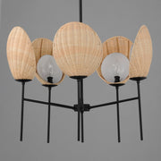 Maldives 5 Light Chandelier in Black