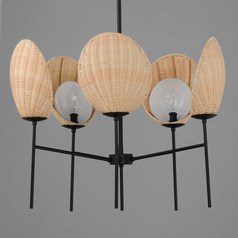 Maldives 5 Light Chandelier in Black