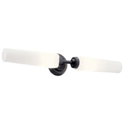 Truby 2-Light Large Bath Vanity Light in Black