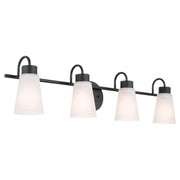 Erma 4-Light Bath Vanity Light in Black