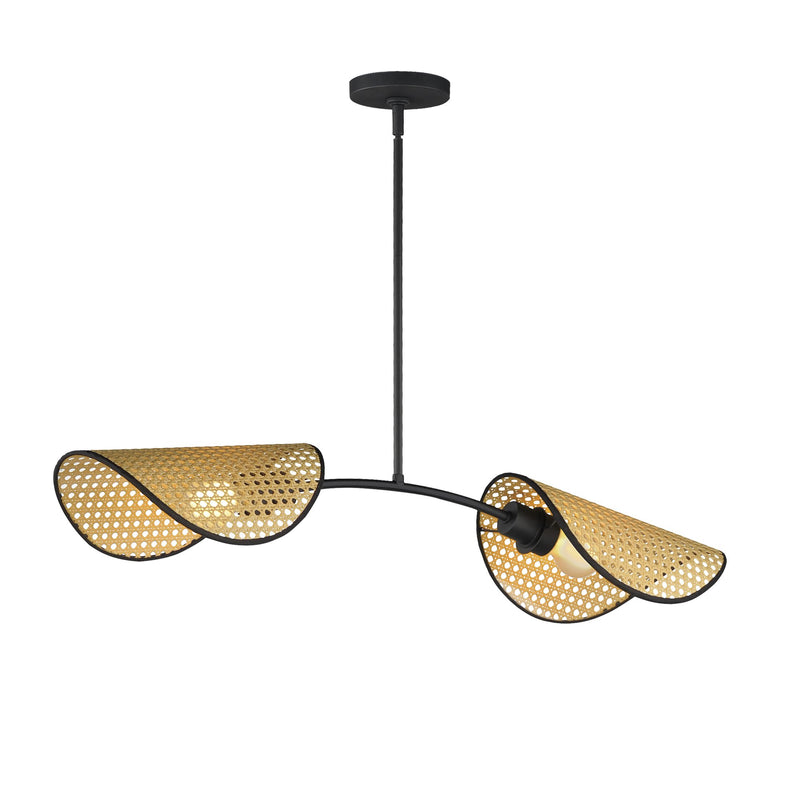 Bonnet 2 Light Chandelier in Black