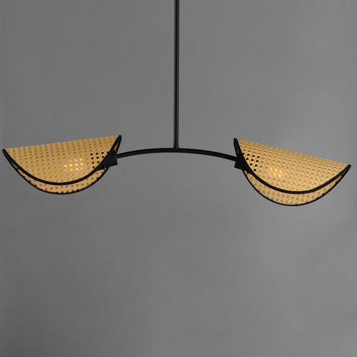 Bonnet 2 Light Chandelier in Black
