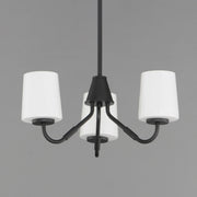 Durham 3 Light Chandelier in Black