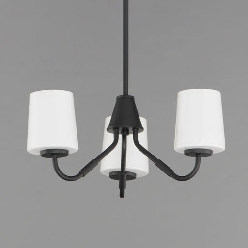 Durham 3 Light Chandelier in Black