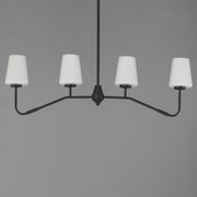 Durham 4 Light Linear Chandelier in Black