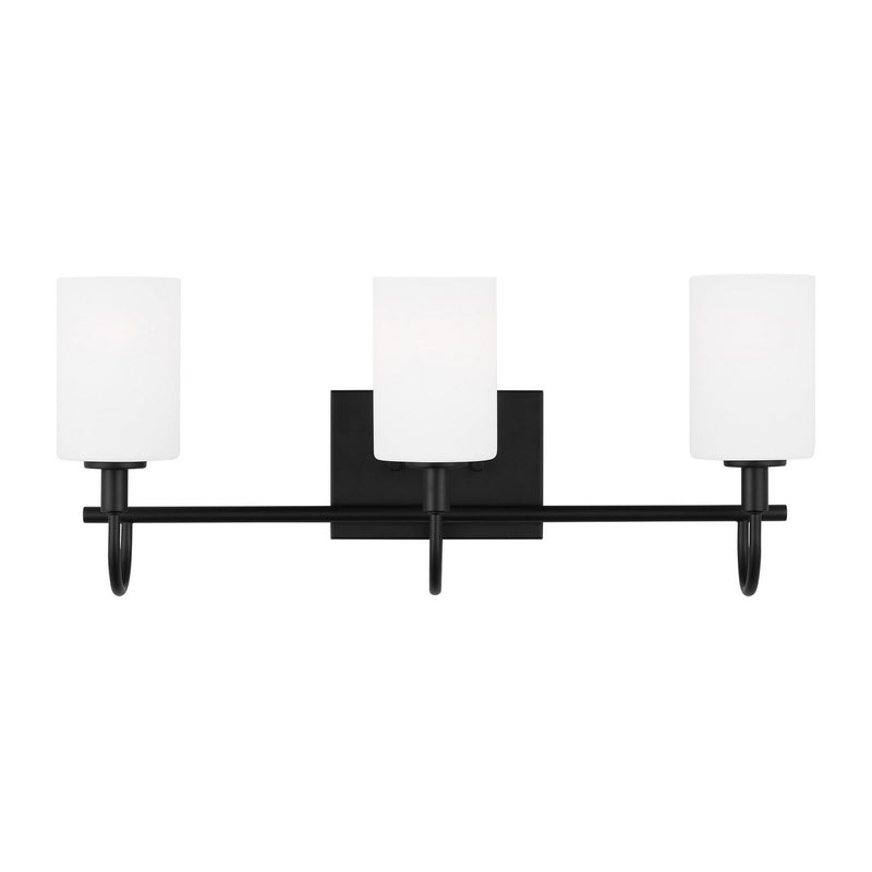 Oak Moore 3-Light Bath Vanity Light in Midnight Black