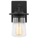 Tybee One Light Outdoor Wall Lantern in Black