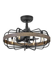 Eli 22" Fandelier Ceiling Fan with Light in Matte Black