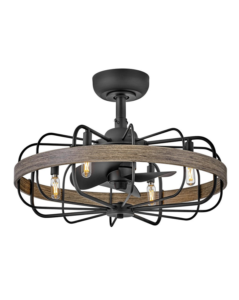 Eli 22" Fandelier Ceiling Fan with Light in Matte Black