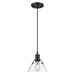 Orwell Small Pendant in Matte Black with Clear Glass