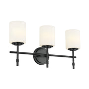 Ali 3-Light Bath Vanity Light in Black