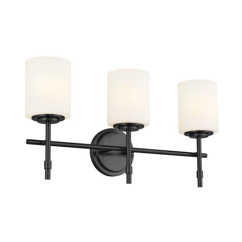 Ali 3-Light Bath Vanity Light in Black