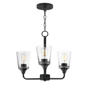 Hudson 3 Light Chandelier in Black