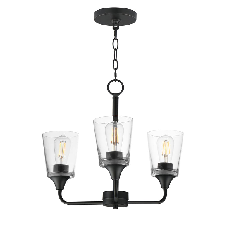 Hudson 3 Light Chandelier in Black