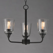 Hudson 3 Light Chandelier in Black