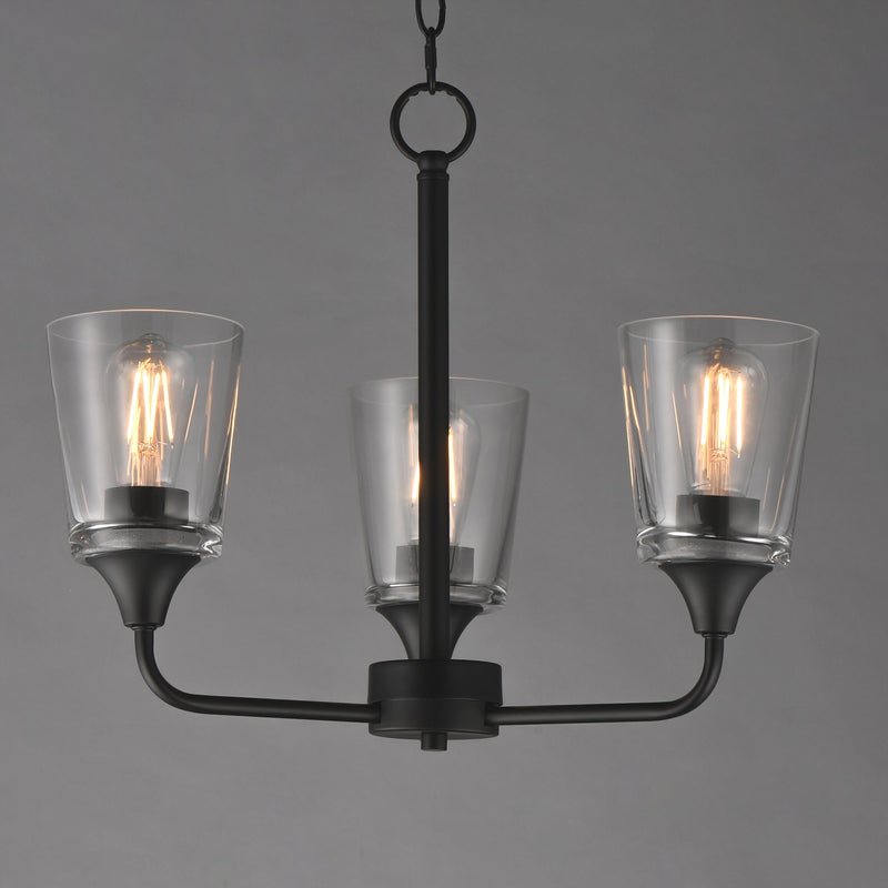 Hudson 3 Light Chandelier in Black