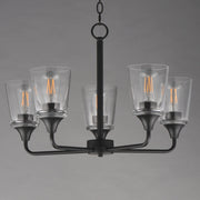 Hudson 5 Light Chandelier in Black