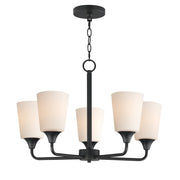 Hudson 5 Light Chandelier in Black