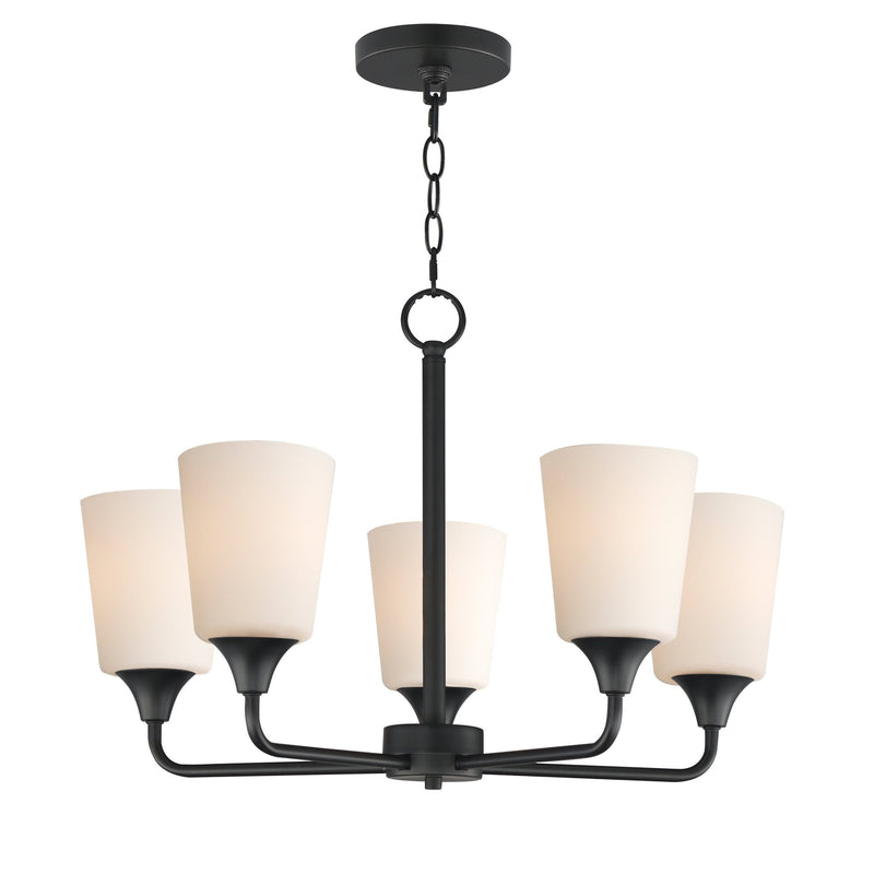 Hudson 5 Light Chandelier in Black