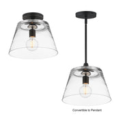 Hudson 12" Convertible Pendant in Black