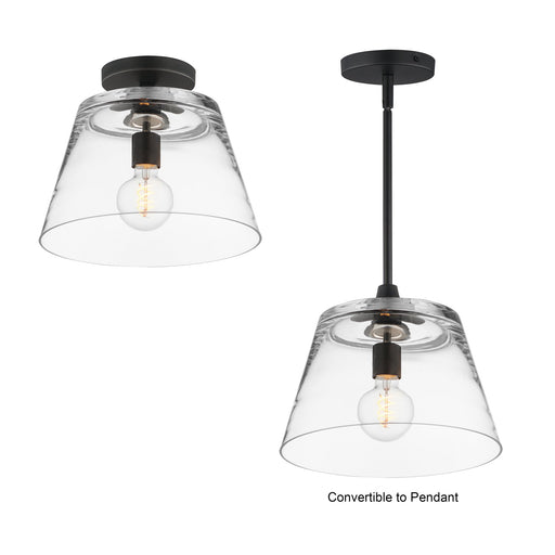 Hudson 12" Convertible Pendant in Black