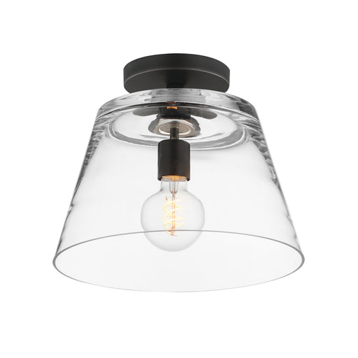 Hudson 12" Convertible Pendant in Black