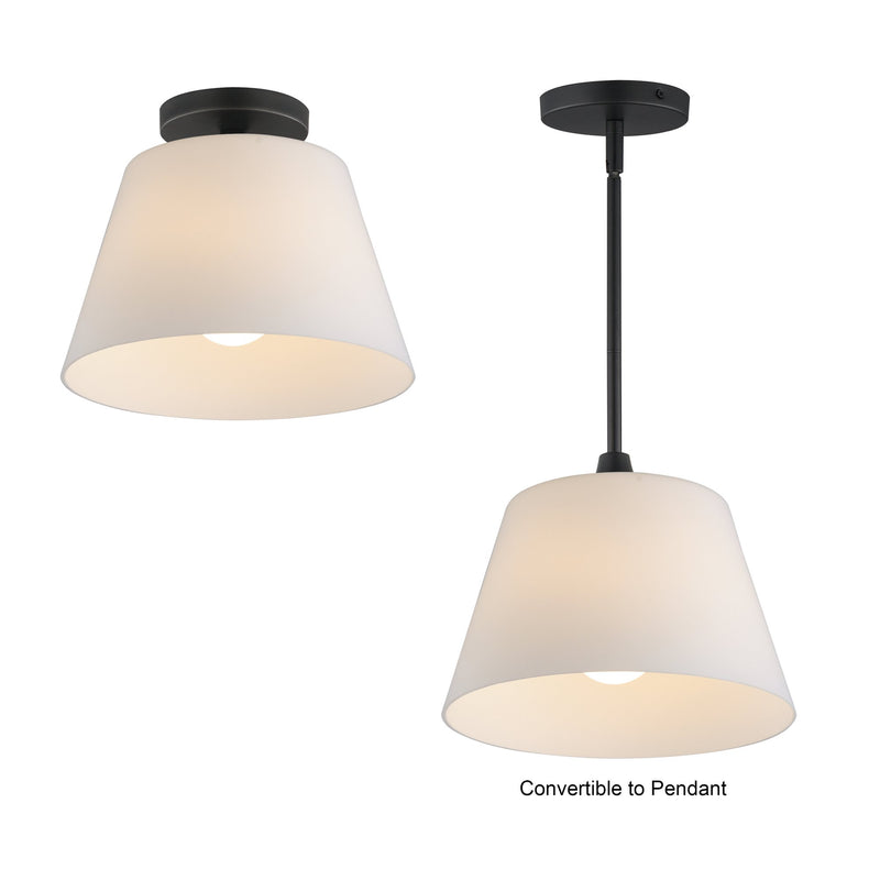 Hudson 12" Convertible Pendant in Black