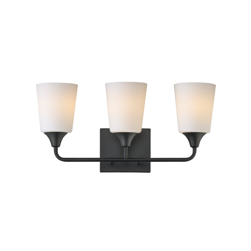 Hudson 3 Light Bath Vanity in Black