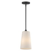 Hudson 1 Light Mini Pendant in Black