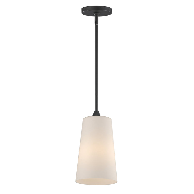 Hudson 1 Light Mini Pendant in Black