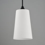 Hudson 1 Light Mini Pendant in Black