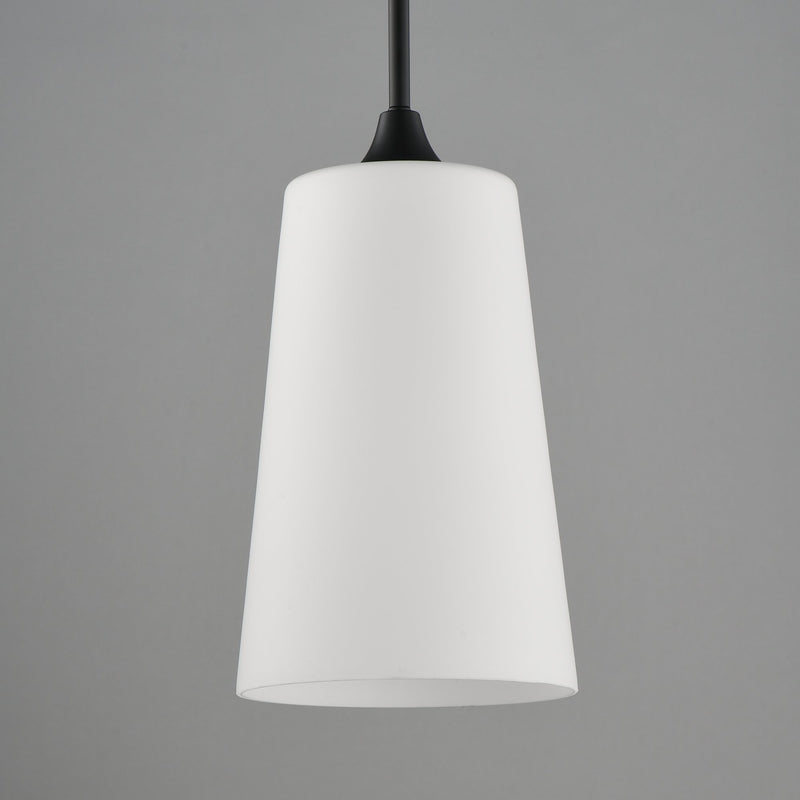 Hudson 1 Light Mini Pendant in Black