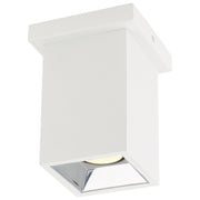 I-Lite Adjustable Spotlight Flush Mount in White