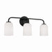 Lawson 3-Light Vanity Fixture - Lamps Expo
