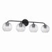 Dolan 4-Light Vanity Fixture - Lamps Expo