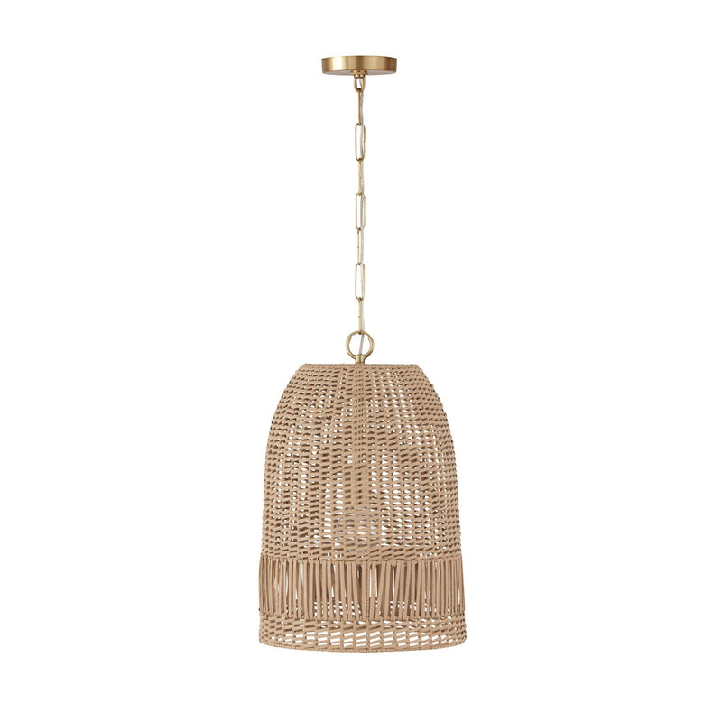 Naomi 1-Light Pendant - Lamps Expo