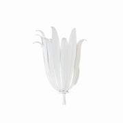 Eden 1-Light Wall Sconce - Lamps Expo