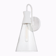 Paloma 1-Light Wall Sconce - Lamps Expo