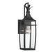 Montpelier 1-Light Outdoor Wall Lantern - Lamps Expo