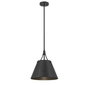 Willis Pendant in Matte Black