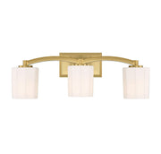 Whitney 3-Light Bath Vanity Light in Warm Brass