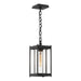 Cela Medium Outdoor Lantern in Coastal Black - 362021-SKT-80-ZM0730 by Hubbardton Forge