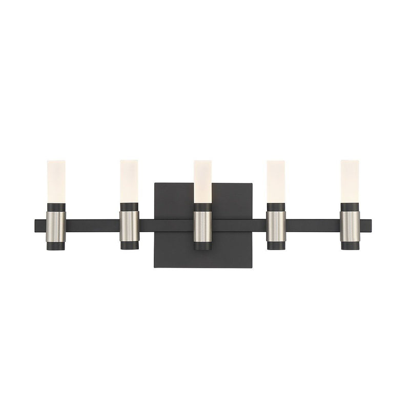 Albany 10-Light 20" Vanity Light in Silver-Black Mix
