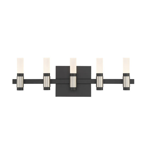 Albany 10-Light 20" Vanity Light in Silver-Black Mix