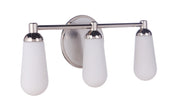 Riggs 3 Light 21.5" Vanity in Brushed Polished Nickel / Polished Nickel