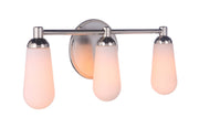 Riggs 3 Light 21.5" Vanity in Brushed Polished Nickel / Polished Nickel