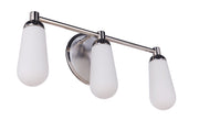 Riggs 3 Light 21.5" Vanity in Brushed Polished Nickel / Polished Nickel