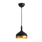 Dash One Light Pendant in Black & Gold